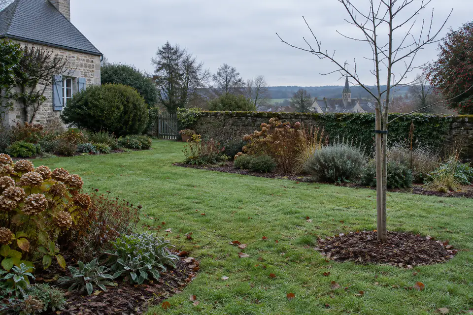 Jardin français en décembre avec pelouse humide, feuilles au sol, massifs paillés et jeune arbre tuteuré
