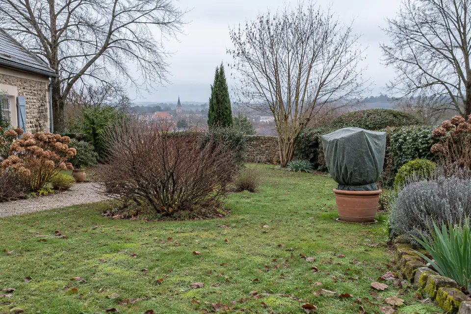 Jardin en janvier avec pelouse humide, arbustes au repos et potée protégée contre le froid