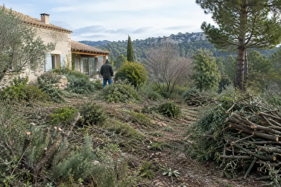 Végétation broussailleuse à entretenir autour d’une maison proche d’un massif boisé avant la saison des incendies